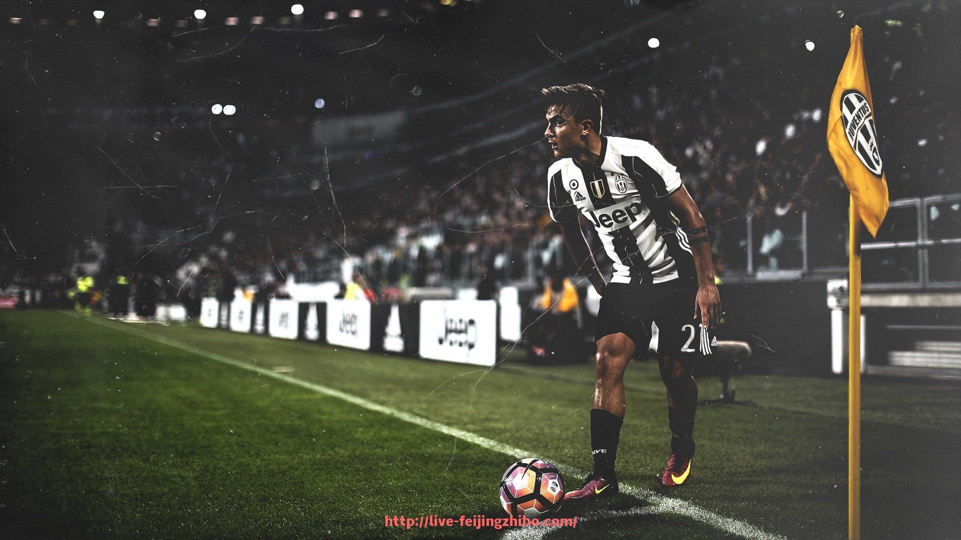 飞鲸体育直播-最新出行指南：世俱杯球迷球场交通攻略全面更新